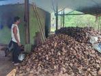 Petani-Kelapa-sedang-membuat-kopra-di-Manado-Sulawesi-Utara-gjh8780780hjk7807808-uilui.jpg