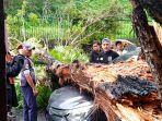 Pohon-tumbang-di-Jalan-Sudirman-Kota-Manado-Suluthdfhhfghfgh.jpg