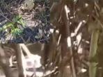 Potongan-video-viral-kerangka-manusia.jpg