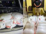 Satres Narkoba Polres Bolmong Sulawesi Utara Amankan Ratusan Liter Miras Cap Tikus