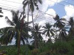 Sejumlah-tiang-listrik-yang-berdiri-miring-di-Jalan-Tololiu-Supit890.jpg