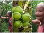 Seorang-nenek-viral-karena-dituduh-curi-20-buah-kelapa-miliknya-sendiri-oleh-tetangganya.jpg