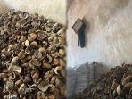 Stok-kopra-di-area-Pasar-45-Calaca-Kota-Manado-Sulawesi-Utara.jpg