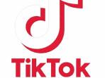 TikTok-fvsbgvdrgb.jpg