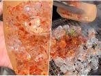 Viral-Jajajan-Es-Batu-Panggang-Dianjurkan-Makan-saat-Masih-Panas-Pakar-Bantah-Klaim-Produk-Khas.jpg
