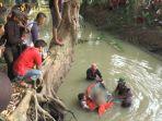 agen-sapi-ditemukan-tewas-di-sungai.jpg