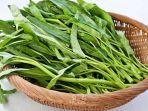 air-rebusan-kangkung-347347.jpg