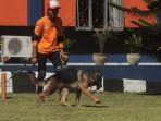 anjing-pelacak-sar-dog-sulut-berlatih-di-kantor-sar-manado-senin-282021.jpg