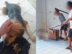 anjing-sebelum-dibunuh-kiri-dan-anjing-saat-dibantai-sekelompok-orang-45-di-pasar-45-manado.jpg