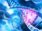 apa-itu-dna-berikut-sejarah-dan-fungsinya-untuk-tubuh-dna-bisa-bereplikasi.jpg