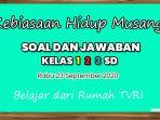 bagaimanakah-kebiasaan-hidup-musang-24426.jpg