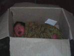 bayi-yang-dibuang-oleh-ibunya-karena-takut-bayinya-dijual-dan-sepucuk-surat-yang-ditinggal.jpg