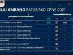 berikut-adalah-rincian-passing-grade-atau-nilai-ambang-batas-skd-cpns-2021.jpg