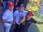 bkipm-dan-sekprov-sulut-lepas-21-ekor-lobster-undersize-dan-bertelur-di-acara-ct-day.jpg