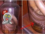 botol-obat_20170831_041714.jpg