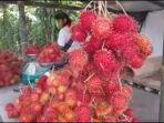buah-rambutan-talawaan123.jpg