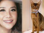 bunga-citra-lestari-bcl-dan-kucing-kesayangan-ashraf-sinclair.jpg