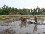 dampingi-petani-bajak-sawah.jpg
