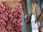 deretan-manfaat-bawang-merah-yang-belum-kamu-tingkatkan-sirkulasi-darah-hingga-fungsi-otak-758.jpg