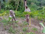 di-desa-sauk-kecamatan-lolak-kabupaten-bolaang-mongondow.jpg