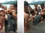 di-pesisir-pantai-di-kelurahan-inobonto-sebuah-bayi-paus-pembunuh-orca-terdampar.jpg