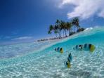 festival-bunaken222_20160728_141542.jpg