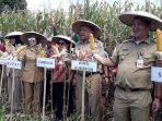 gubernur-olly-dan-bupati-yasti-tanam-jagung-di-kopandakan.jpg