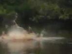 heboh-puluhan-buaya-raksasa-muncul-di-jambi-ukurannya-sampai-6-meter-3-orang-jadi-korban.jpg