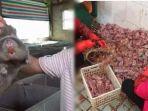 hewan-liar-yang-dijual-belikan-di-pasar-hewan-wuhan-china.jpg