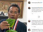 hotman-paris-makan-daun-sirih.jpg