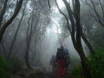 hutan-gunung-semeru-jawa-timur.jpg