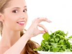 ilustrasi-daun-kemangi_20180530_075148.jpg