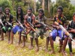 ilustrasi-kkb-di-pegunungan-tengah-papua_20171113_190907.jpg