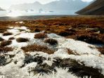 ilustrasi-permafrost_20180223_081433.jpg