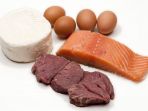 ilustrasi-protein_20180103_132853.jpg