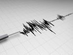 ilustrasi-seismograf-pendeteksi-gempa-bumi_20181011_135057.jpg