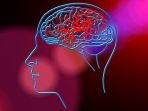 ilustrasi-stroke_20180509_170857.jpg