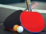 ilustrasi-tenis-meja_20150412_220045.jpg