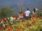 indahnya-puncak-tetetana-dengan-hamparan-kebun-bunga.jpg