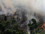 inpe-mengatakan-telah-mendeteksi-lebih-dari-72000-kebakaran-sejauh-ini-pada-tahun-2019.jpg
