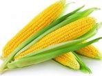 jagung-347427.jpg