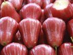 jarang-diketahui-ini-7-manfaat-jambu-air-merah-untuk-kesehatan-1212121.jpg