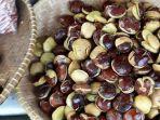 jengkol56253.jpg