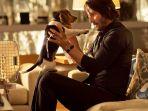 john-wick-penyanyang-anjing.jpg