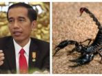 jokowi-dan-kalajengking_20180501_010815.jpg