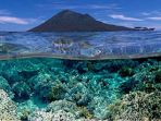 keindahan-bawah-laut-bunaken_20180810_113603.jpg
