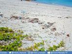 kerang-cantik-bercampur-puntung-rokok-sampah-rusak-pesona-pulau-tiga-bolmong.jpg
