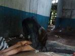 kisah-menyeramkan-sukiyah-wanita-berambut-sepanjang-15-meter-345737.jpg