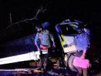 kondisi-mobil-truck-yang-terlibat-kecelakaan-di-jalan-tran-papua-merauke.jpg