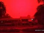 kondisi-muaro-jambi-berwarna-merah-pada-siang-hari.jpg